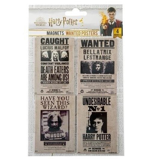Harry Potter Magnets